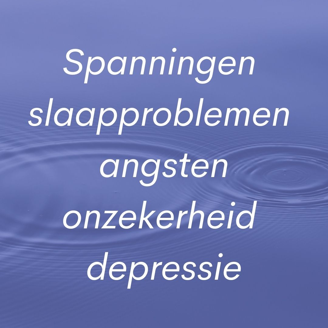 Lichaamsgerichte therapie